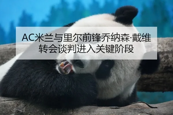 AC米兰与里尔前锋乔纳森·戴维转会谈判进入关键阶段