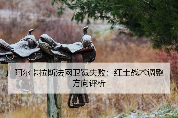 a-er-ka-la-si-fa-wang-wei-mian-shi-bai-hong-tu-zhan-shu-tiao-zheng-fang-xiang-ping-xi-2-665.jpg